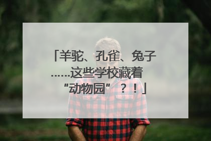 羊驼、孔雀、兔子……这些学校藏着 “动物园”？！