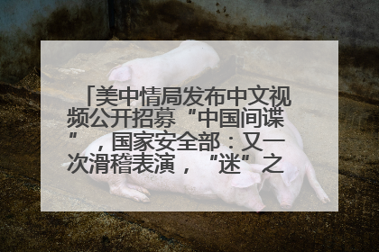 美中情局发布中文视频公开招募“中国间谍”，国家安全部：又一次滑稽表演，“迷”之操作沦为国际笑柄