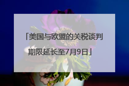 美国与欧盟的关税谈判期限延长至7月9日