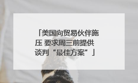 美国向贸易伙伴施压 要求周三前提供谈判“最佳方案”