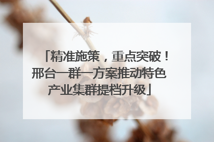 精准施策，重点突破！邢台一群一方案推动特色产业集群提档升级