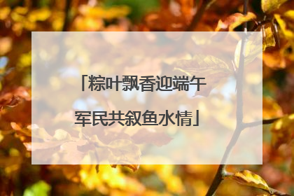 粽叶飘香迎端午 军民共叙鱼水情
