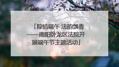 粽情端午 法韵飘香——南阳卧龙区法院开展端午节主题活动