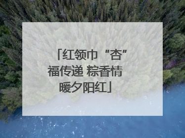 红领巾“杏”福传递 粽香情暖夕阳红