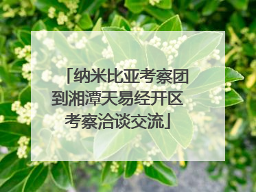 纳米比亚考察团到湘潭天易经开区考察洽谈交流