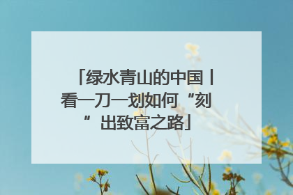 绿水青山的中国丨看一刀一划如何“刻”出致富之路