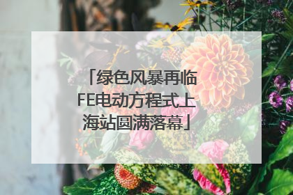 绿色风暴再临 FE电动方程式上海站圆满落幕
