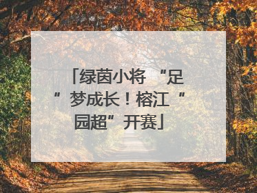 绿茵小将 “足”梦成长！榕江“园超”开赛