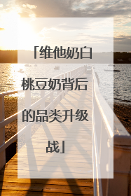 维他奶白桃豆奶背后的品类升级战