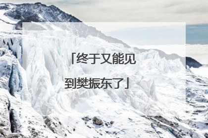 终于又能见到樊振东了