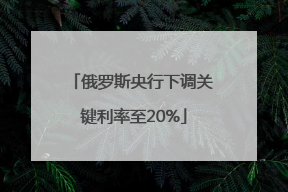 俄罗斯央行下调关键利率至20%