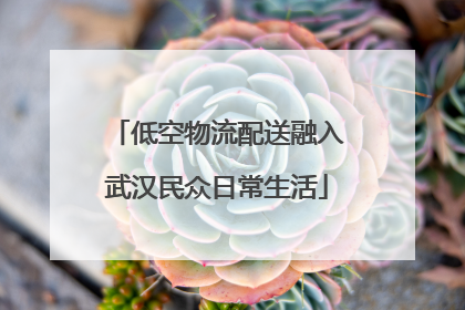 低空物流配送融入武汉民众日常生活