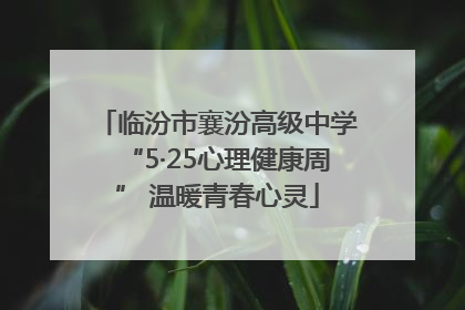 临汾市襄汾高级中学“5·25心理健康周” 温暖青春心灵