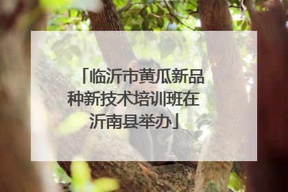 临沂市黄瓜新品种新技术培训班在沂南县举办