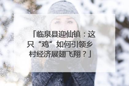 临泉县迎仙镇：这只“鸡”如何引领乡村经济展翅飞翔？