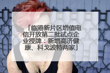 临港新片区增值电信开放第二批试点企业授牌：新增高济健康、科戈波特两家