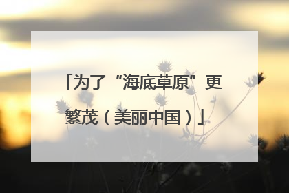 为了“海底草原”更繁茂（美丽中国）
