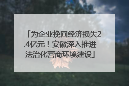 为企业挽回经济损失2.4亿元！安徽深入推进法治化营商环境建设