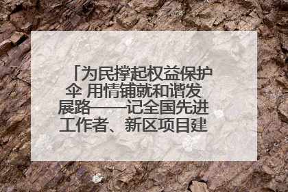 为民撑起权益保护伞 用情铺就和谐发展路——记全国先进工作者、新区项目建设中心干部卢小勇