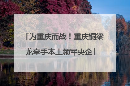 为重庆而战！重庆铜梁龙牵手本土领军央企