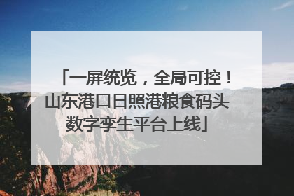一屏统览，全局可控！山东港口日照港粮食码头数字孪生平台上线