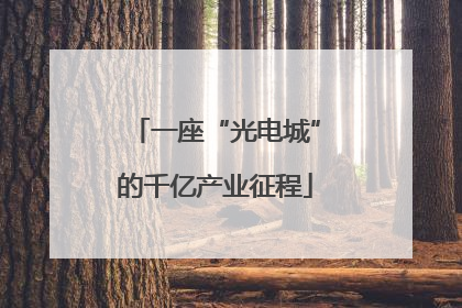 一座“光电城”的千亿产业征程