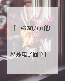 一张30万元的特殊电子回单