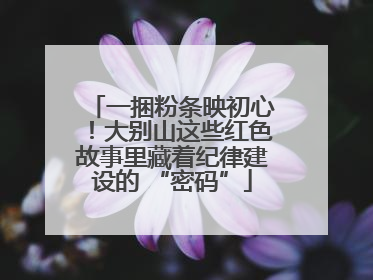 一捆粉条映初心！大别山这些红色故事里藏着纪律建设的 “密码”