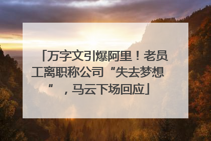 万字文引爆阿里！老员工离职称公司“失去梦想”，马云下场回应