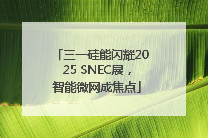 三一硅能闪耀2025 SNEC展，智能微网成焦点