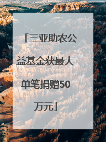 三亚助农公益基金获最大单笔捐赠50万元