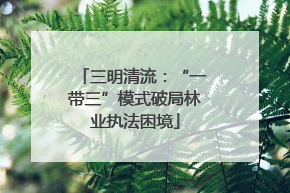 三明清流：“一带三”模式破局林业执法困境