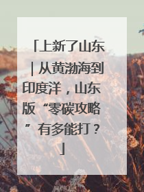 上新了山东｜从黄渤海到印度洋，山东版“零碳攻略”有多能打？