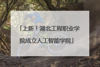 上新！湖北工程职业学院成立人工智能学院