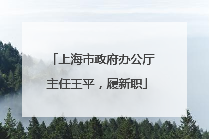 上海市政府办公厅主任王平，履新职