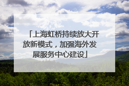 上海虹桥持续放大开放新模式，加强海外发展服务中心建设
