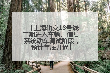 上海轨交18号线二期进入车辆、信号系统动车调试阶段，预计年底开通