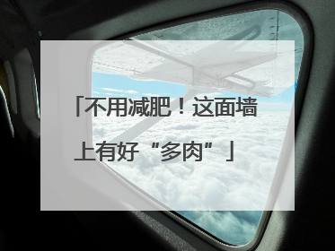 不用减肥！这面墙上有好“多肉”