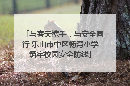 与春天携手，与安全同行 乐山市中区杨湾小学筑牢校园安全防线
