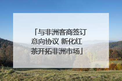 与非洲客商签订意向协议 新化红茶开拓非洲市场