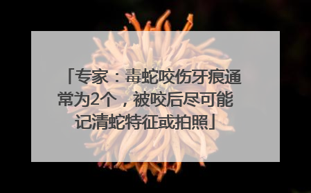 专家：毒蛇咬伤牙痕通常为2个，被咬后尽可能记清蛇特征或拍照