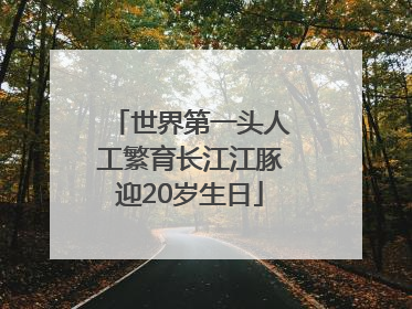 世界第一头人工繁育长江江豚迎20岁生日