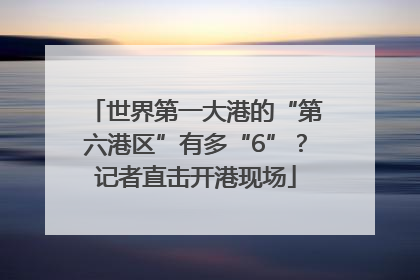 世界第一大港的“第六港区”有多“6”？记者直击开港现场