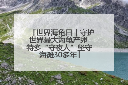 世界海龟日丨守护世界最大海龟产卵 特多“守夜人”坚守海滩30多年