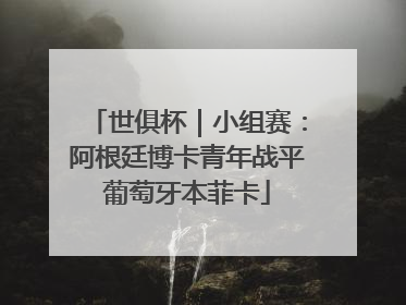 世俱杯｜小组赛：阿根廷博卡青年战平葡萄牙本菲卡