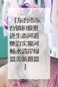 东台市东台镇积极推进生态河道整治实现河畅水清岸绿景美新愿景