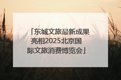 东城文旅最新成果亮相2025北京国际文旅消费博览会