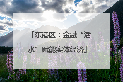 东港区：金融“活水”赋能实体经济