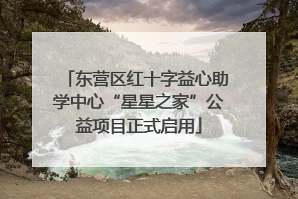 东营区红十字益心助学中心“星星之家”公益项目正式启用