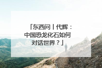 东西问丨代辉：中国恐龙化石如何对话世界？